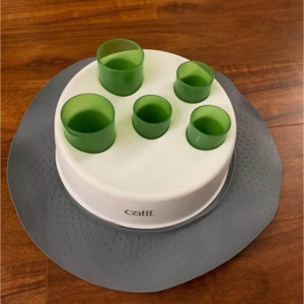 Catit Green and Gray Interactive Feeder